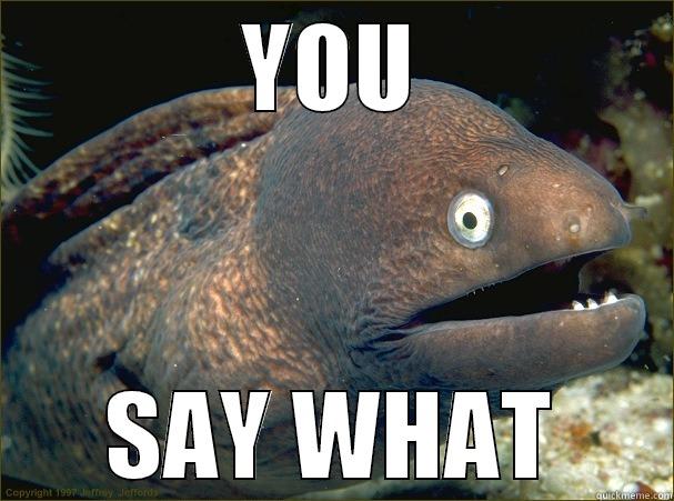 YOU SAY WHAT Bad Joke Eel