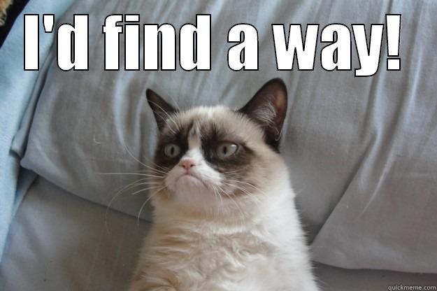 I'D FIND A WAY!  Grumpy Cat