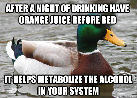 After a night of drinking have orange juice before bed it helps metabolize the alcohol in your system - After a night of drinking have orange juice before bed it helps metabolize the alcohol in your system  Actual Advice Mallard