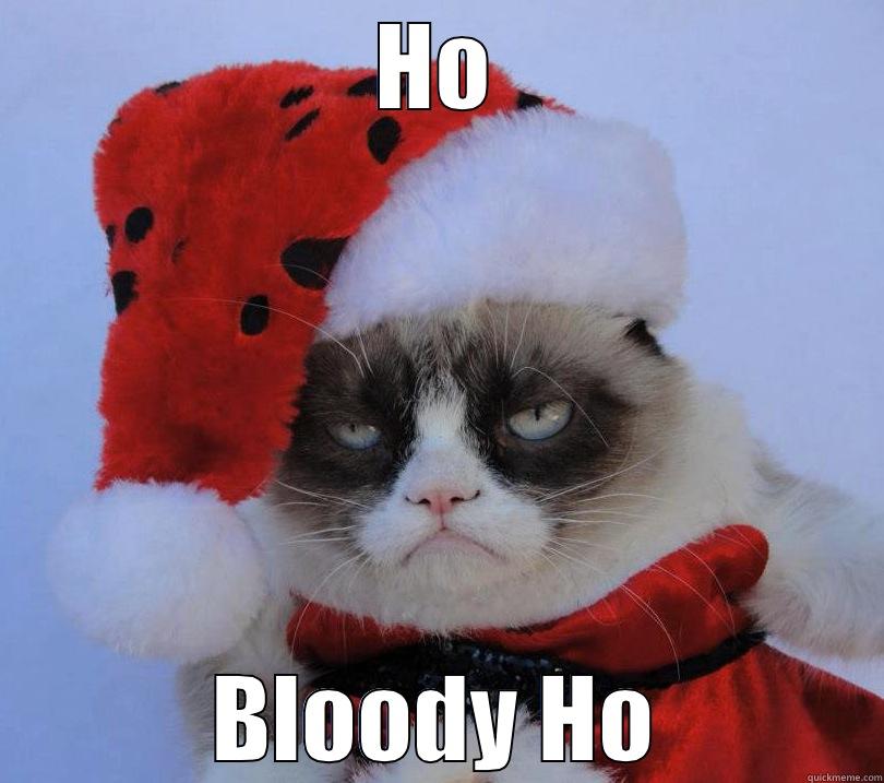 Grumpy cat christmas - HO BLOODY HO Misc