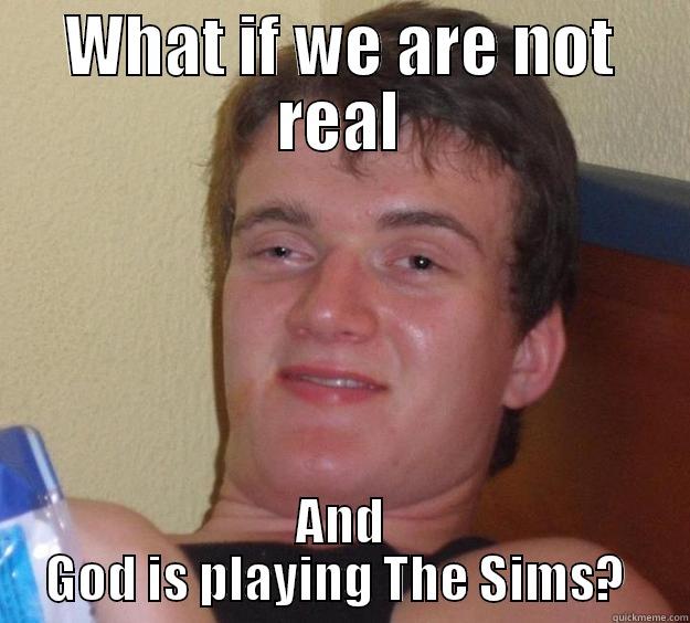 Woah bro, too deep - WHAT IF WE ARE NOT REAL AND GOD IS PLAYING THE SIMS?  10 Guy