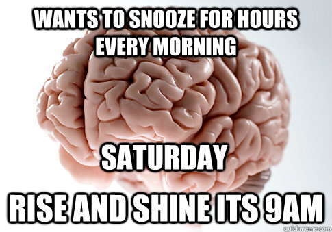 Wants to snooze for hours every morning Rise and shine its 9am Saturday - Wants to snooze for hours every morning Rise and shine its 9am Saturday  Scumbag Brain