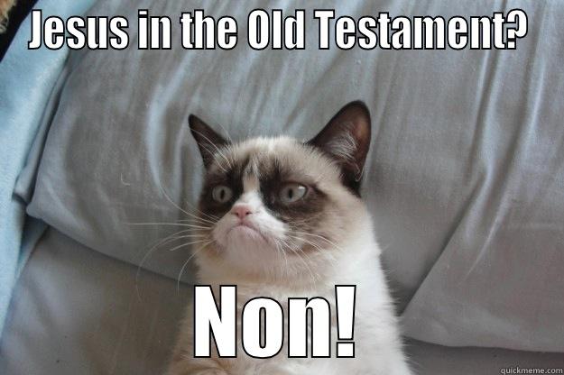 OT Jesus - JESUS IN THE OLD TESTAMENT? NON! Grumpy Cat