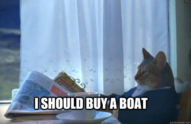 I should buy a boat  Sophisticated Cat