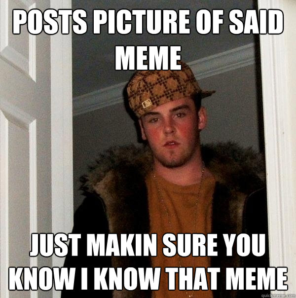 Posts picture of said meme Just makin sure you know I know that meme  Scumbag Steve