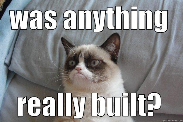 Really Lisa? - WAS ANYTHING REALLY BUILT? Grumpy Cat