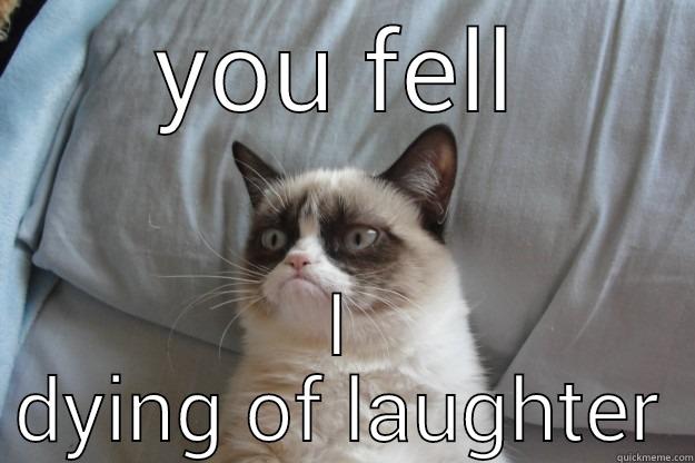 YOU FELL I DYING OF LAUGHTER Grumpy Cat