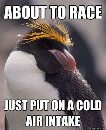 about to race just put on a cold air intake - about to race just put on a cold air intake  Socially Overconfident Penguin