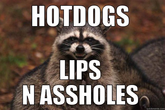 HOTDOGS LIPS N ASSHOLES Evil Plotting Raccoon