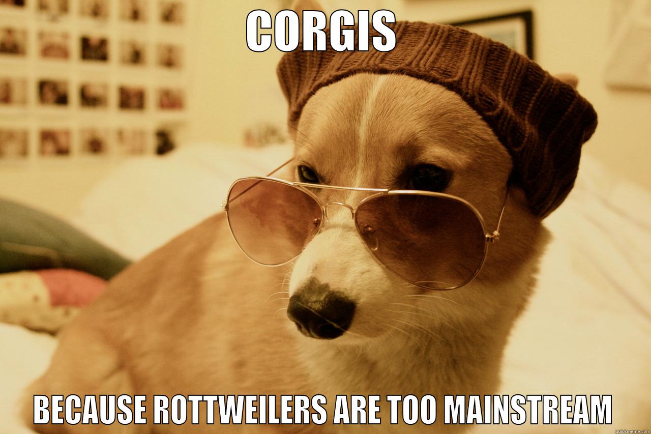 CORGIS BECAUSE ROTTWEILERS ARE TOO MAINSTREAM Misc