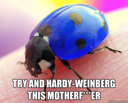  Try and Hardy-Weinberg this Motherf***er -  Try and Hardy-Weinberg this Motherf***er  Misc