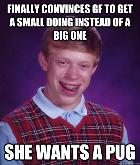 Finally convinces gf to get a small doing instead of a big one She wants a pug  Bad Luck Brian