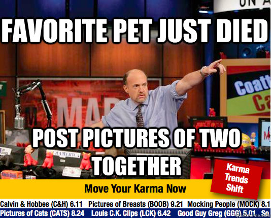 favorite pet just died  post pictures of two together - favorite pet just died  post pictures of two together  Mad Karma with Jim Cramer