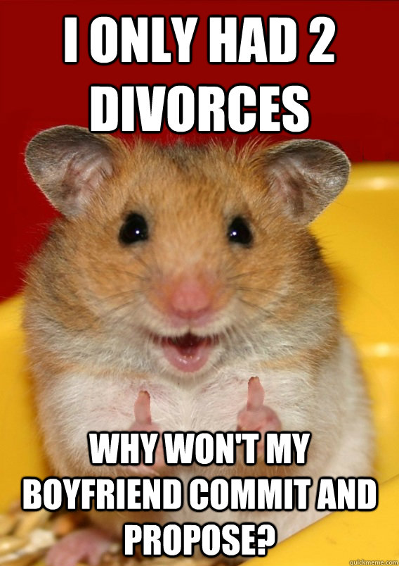 I only had 2 divorces Why won't my boyfriend commit and propose? - I only had 2 divorces Why won't my boyfriend commit and propose?  Rationalization Hamster