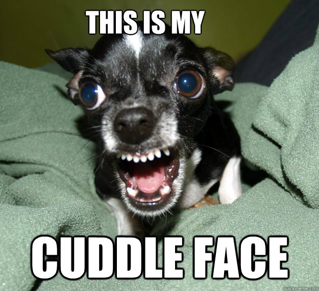 This is my  cuddle face  