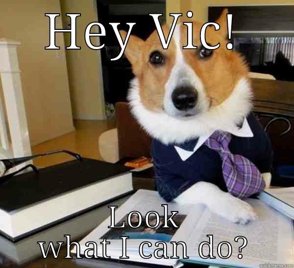 HEY VIC! LOOK WHAT I CAN DO? Lawyer Dog