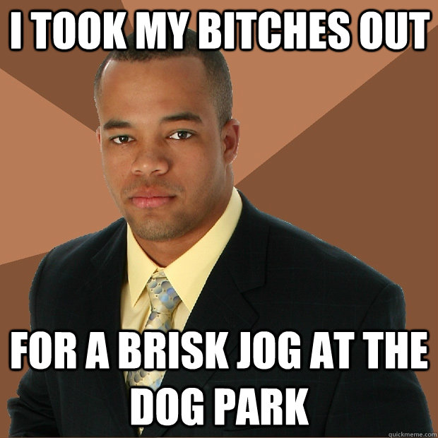 I took my bitches out for a brisk jog at the dog park  Successful Black Man