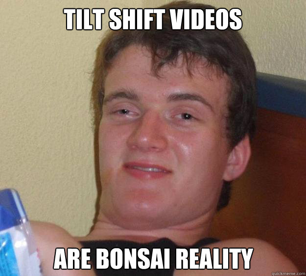 Tilt shift videos Are Bonsai reality  10 Guy