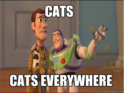 cats cats everywhere  woody and buzz