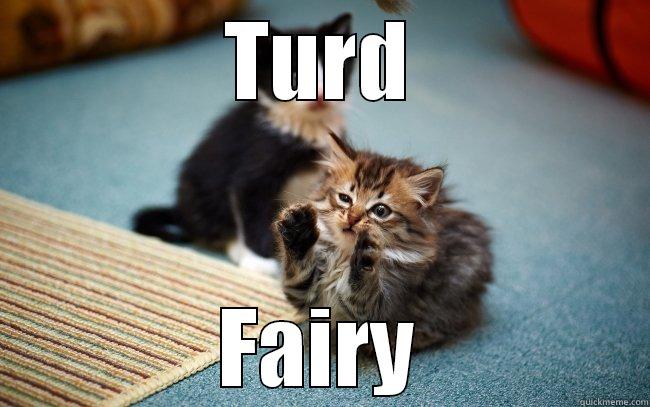 TURD FAIRY Misc