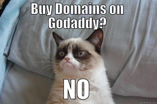 Grumpy Cat on Domain Buying - BUY DOMAINS ON GODADDY? NO Grumpy Cat