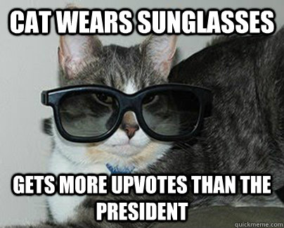 CAT WEARS SUNGLASSES GETS MORE UPVOTES THAN THE PRESIDENT  