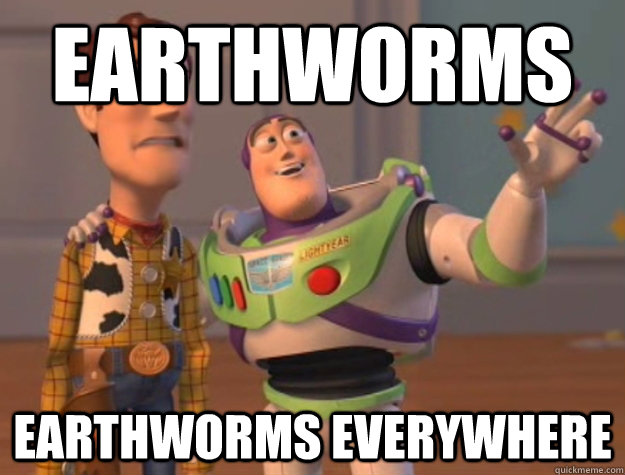 earthworms earthworms everywhere  Buzz Lightyear