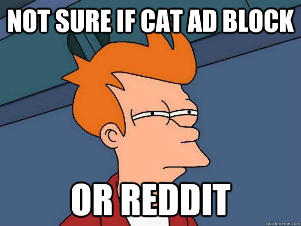 Not sure if cat ad block Or reddit  Futurama Fry