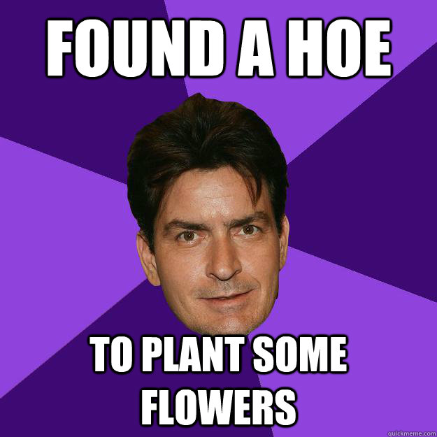 Found A HOE  to plant some flowers  Clean Sheen