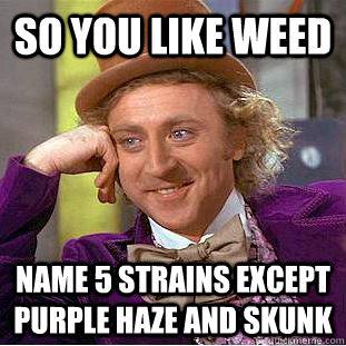 so you like weed name 5 strains except purple haze and skunk  Condescending Wonka