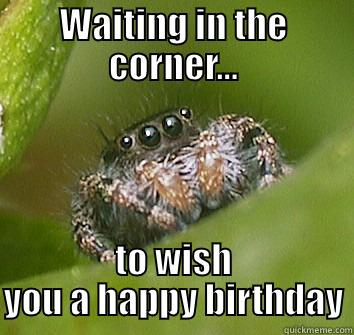 WAITING IN THE CORNER... TO WISH YOU A HAPPY BIRTHDAY Misunderstood Spider