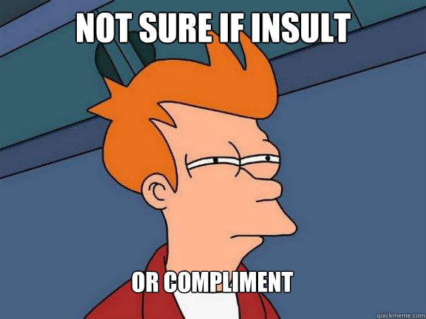 Not sure if insult Or compliment  Futurama Fry