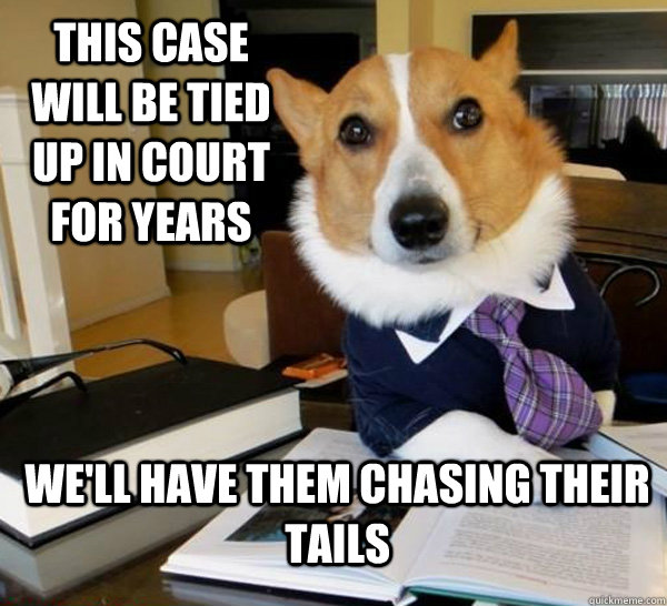 this case will be tied up in court for years we'll have them chasing their tails  Lawyer Dog