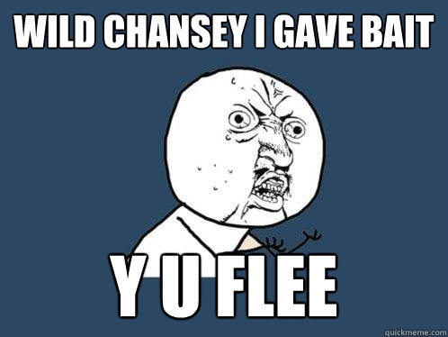 wild chansey i gave bait y u flee  Y U No