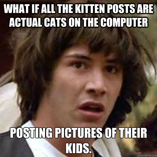 WHAT IF ALL THE KITTEN POSTS ARE ACTUAL CATS ON THE COMPUTER POSTING PICTURES OF THEIR KIDS.  conspiracy keanu