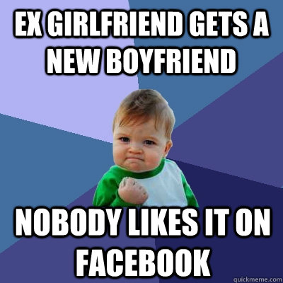 ex girlfriend gets a new boyfriend nobody likes it on facebook  Success Kid