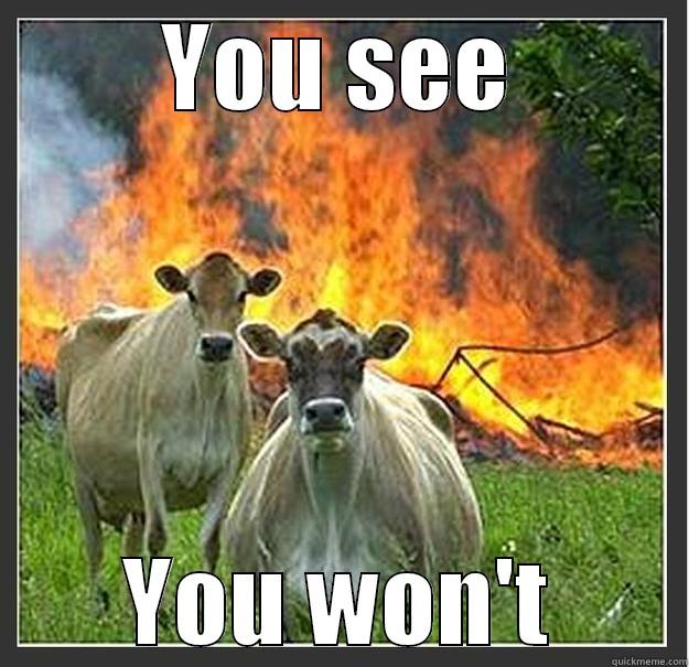 Oh! My eyes hurt! - YOU SEE YOU WON'T Evil cows