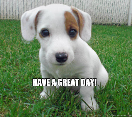 Have a Great day!  Cute Puppy of Death