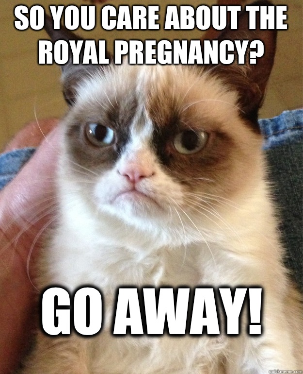 So you care about the royal pregnancy? Go away!  Grumpy Cat