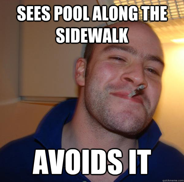 Sees pool along the sidewalk avoids it - Sees pool along the sidewalk avoids it  Misc