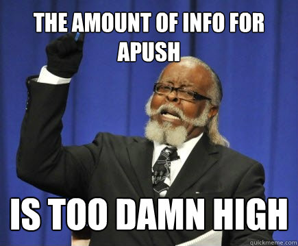 The AMOUNT OF INFO FOR APUSH IS too damn high  Too Damn High