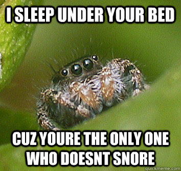 i sleep under your bed cuz youre the only one who doesnt snore  Misunderstood Spider