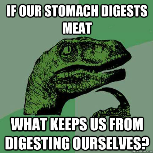 If our stomach digests meat What keeps us from digesting ourselves? - If our stomach digests meat What keeps us from digesting ourselves?  Philosoraptor