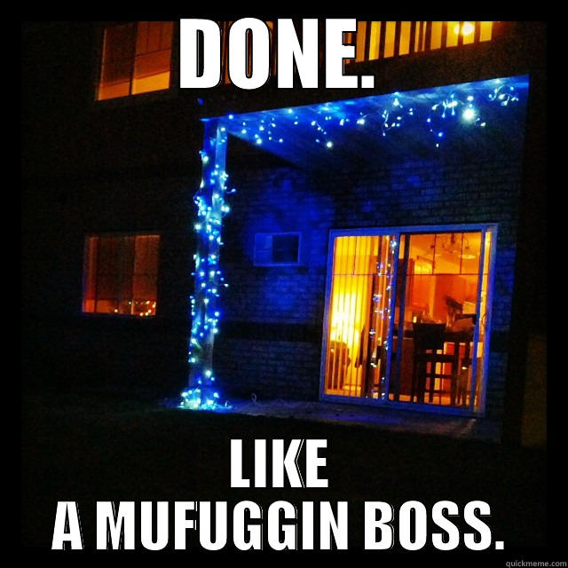 xmas lights - DONE. LIKE A MUFUGGIN BOSS. Misc