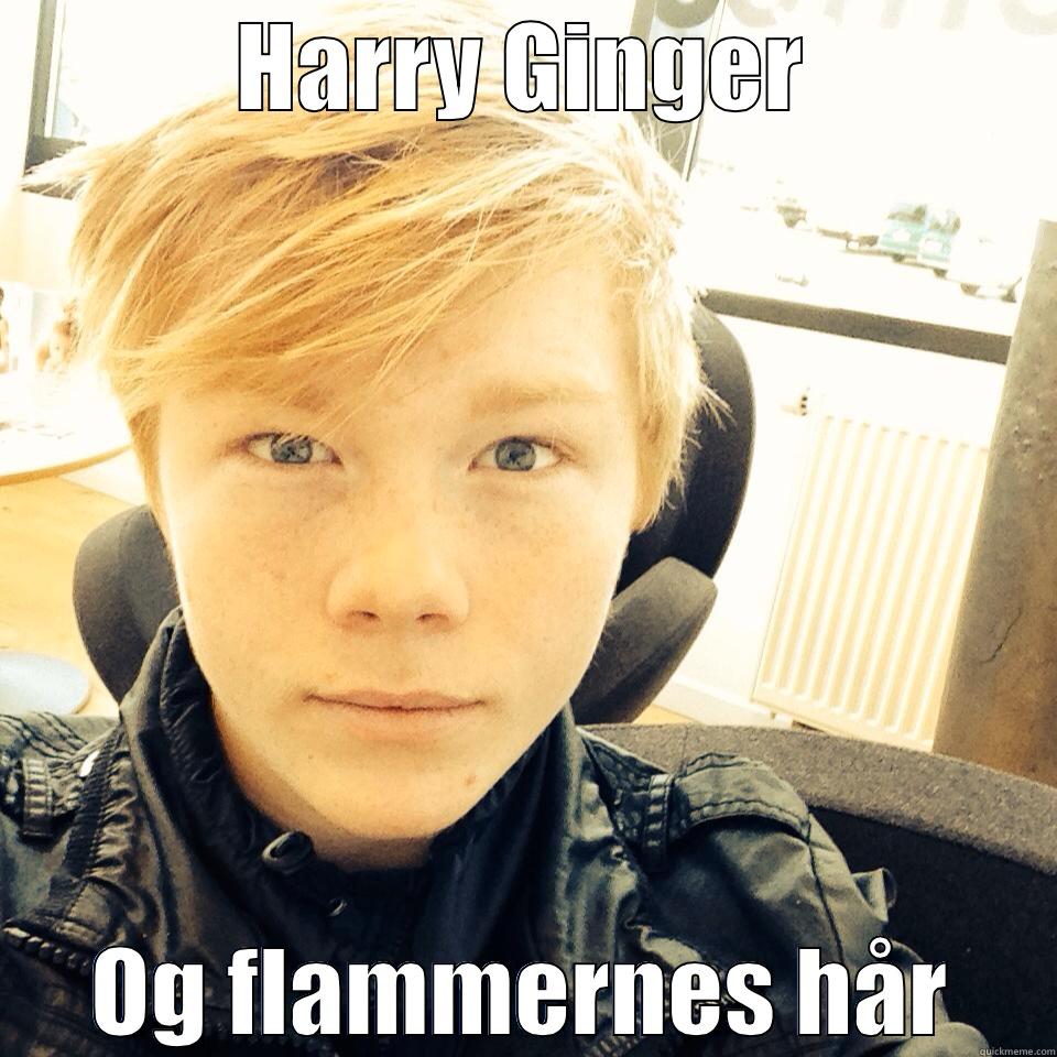 HARRY GINGER OG FLAMMERNES HÅR Misc