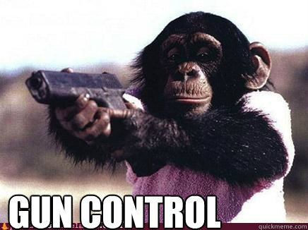 Gun Control  