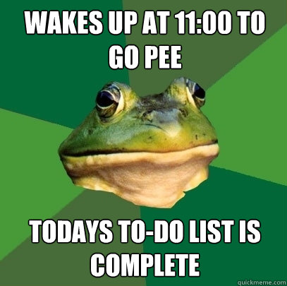 Wakes up at 11:00 to go pee Todays to-do list is complete - Wakes up at 11:00 to go pee Todays to-do list is complete  Foul Bachelor Frog