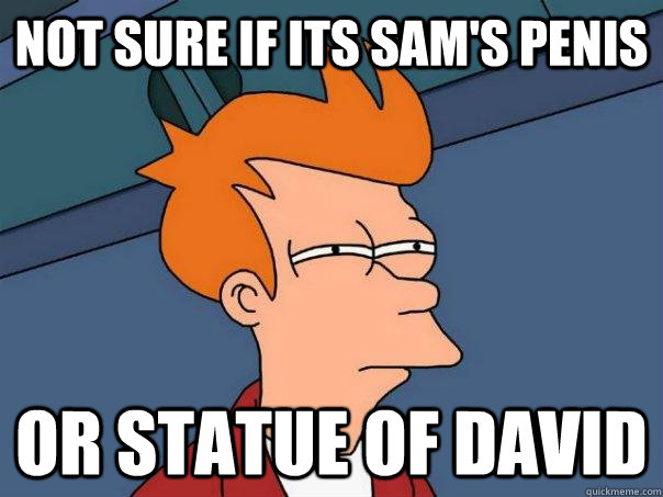 Not Sure if its sam's penis or statue of david  - Not Sure if its sam's penis or statue of david   Futurama Fry