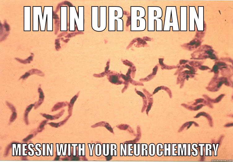 toxoplasma gondii - IM IN UR BRAIN MESSIN WITH YOUR NEUROCHEMISTRY Misc