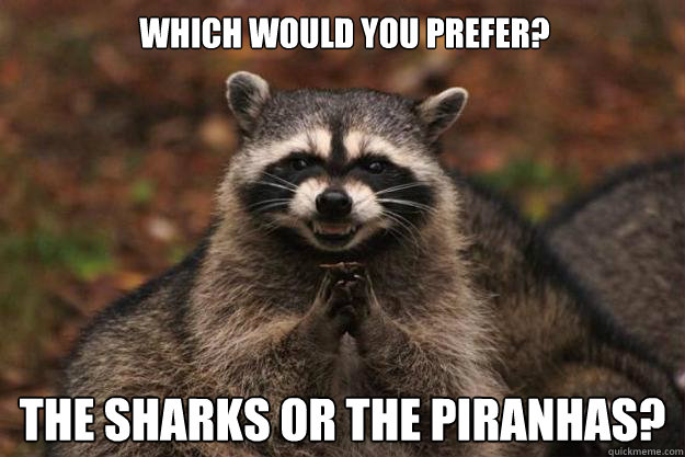 Which would you prefer? The sharks or the piranhas?  Evil Plotting Raccoon